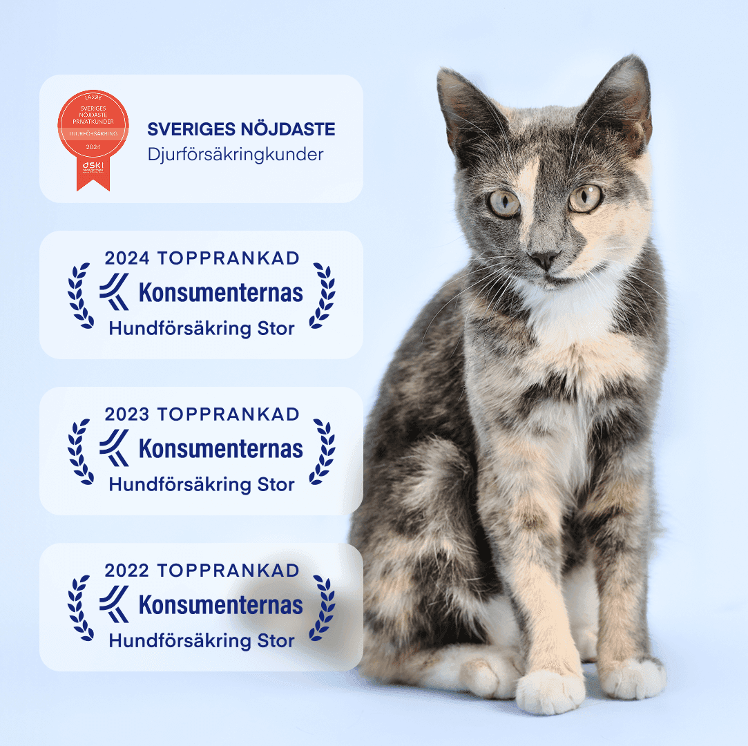 SE: SKI + konsumenternas