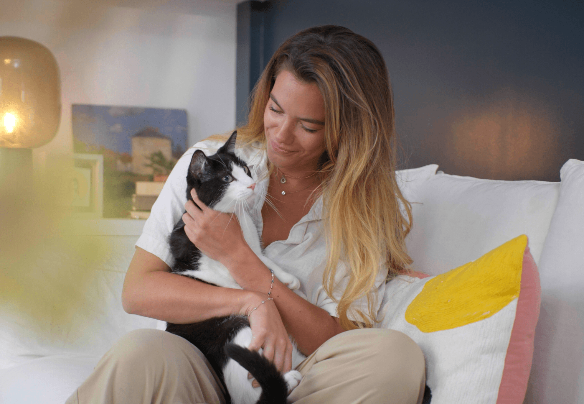 Hur byter du kattförsäkring?