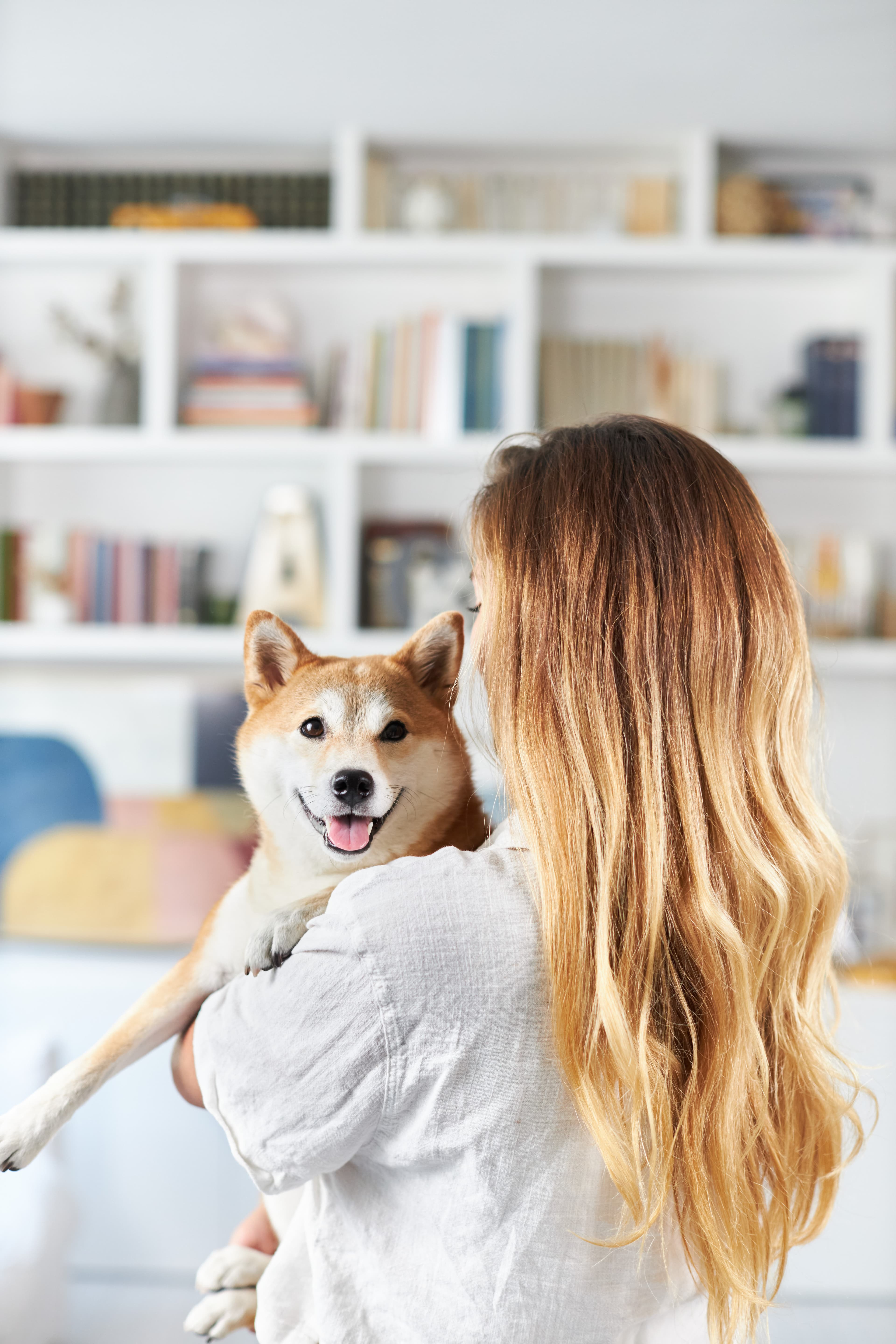 dog person and laptop