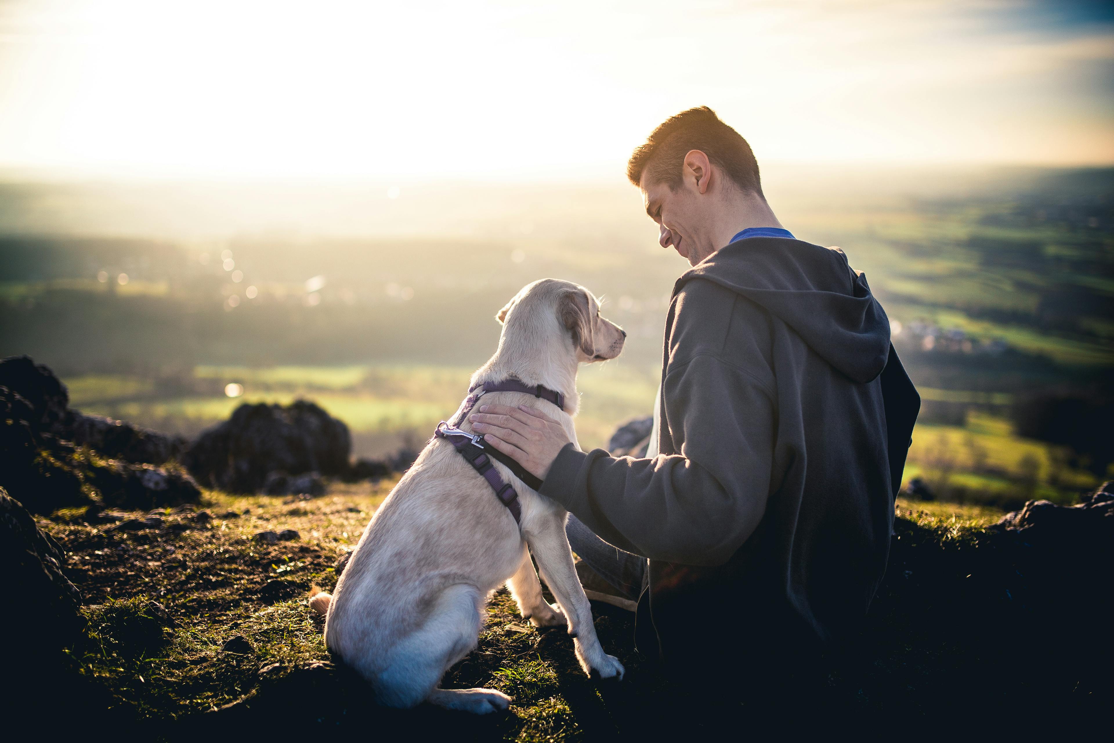 dog and man sitting in nature and the man petting his dog