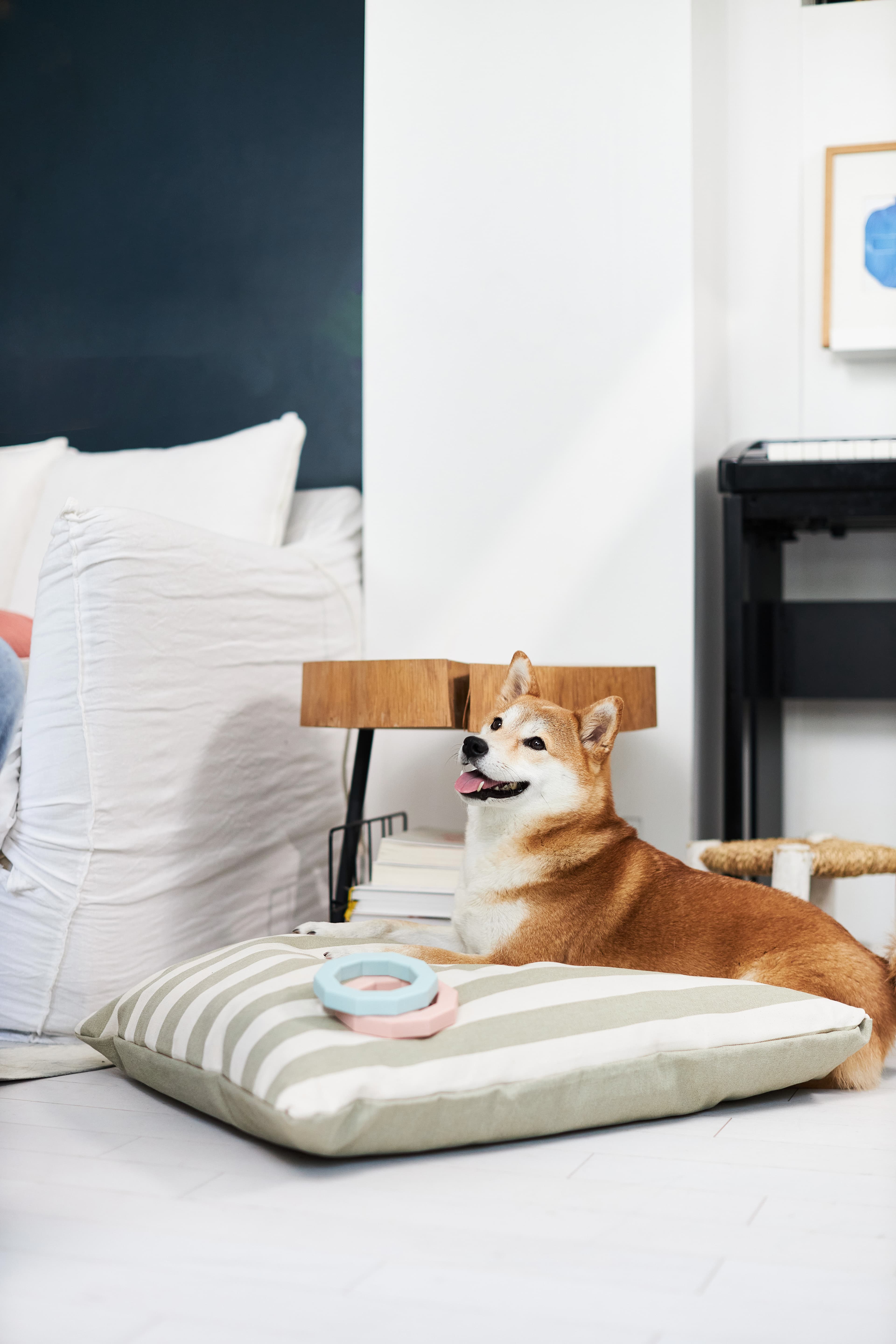 human and dog sitting together