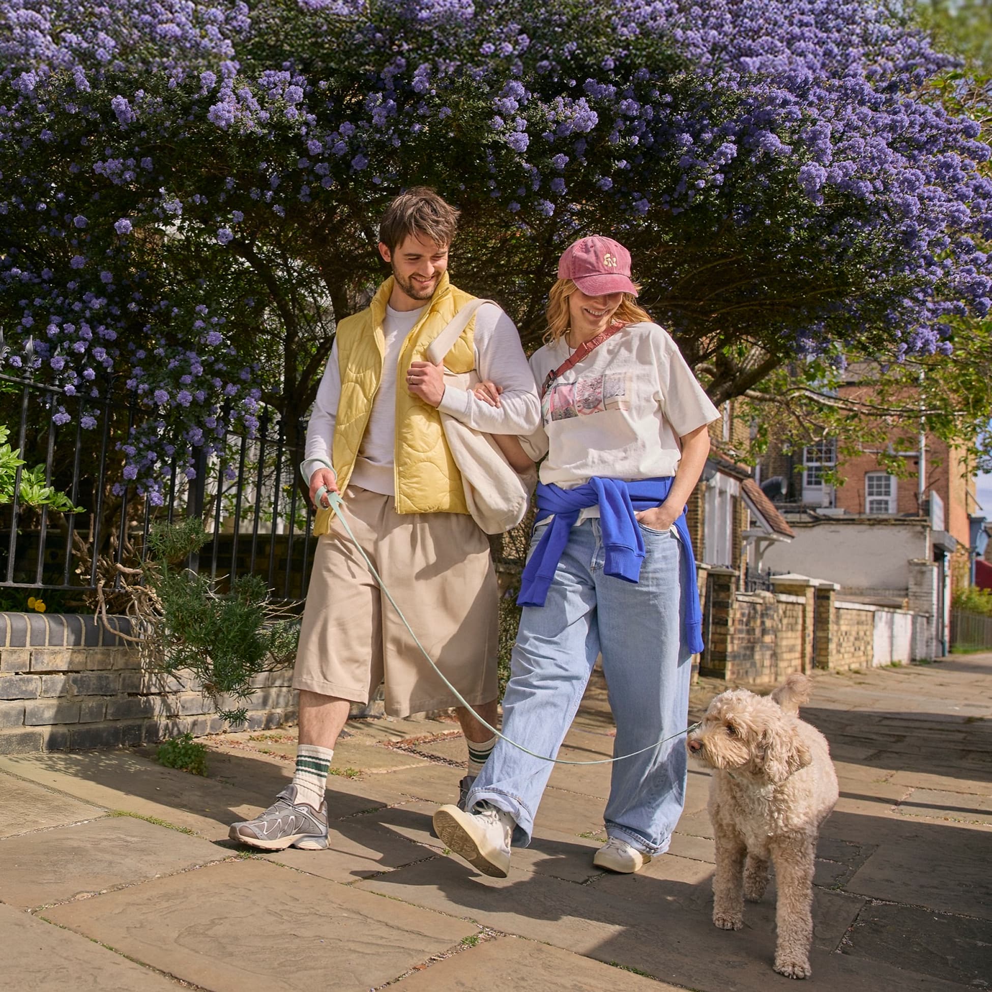 Lassie NEW IMAGES - S08 1419