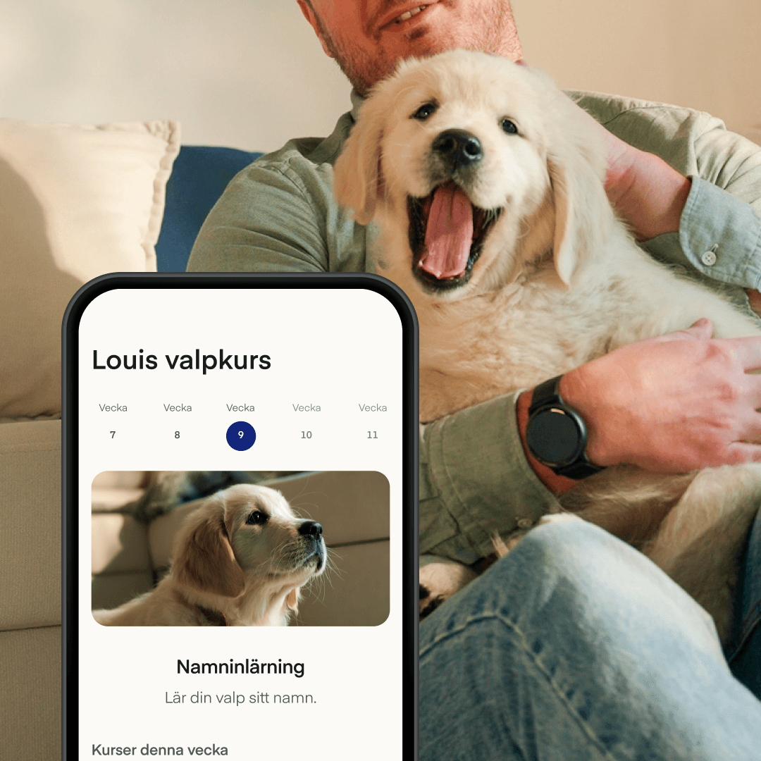 Puppy app image