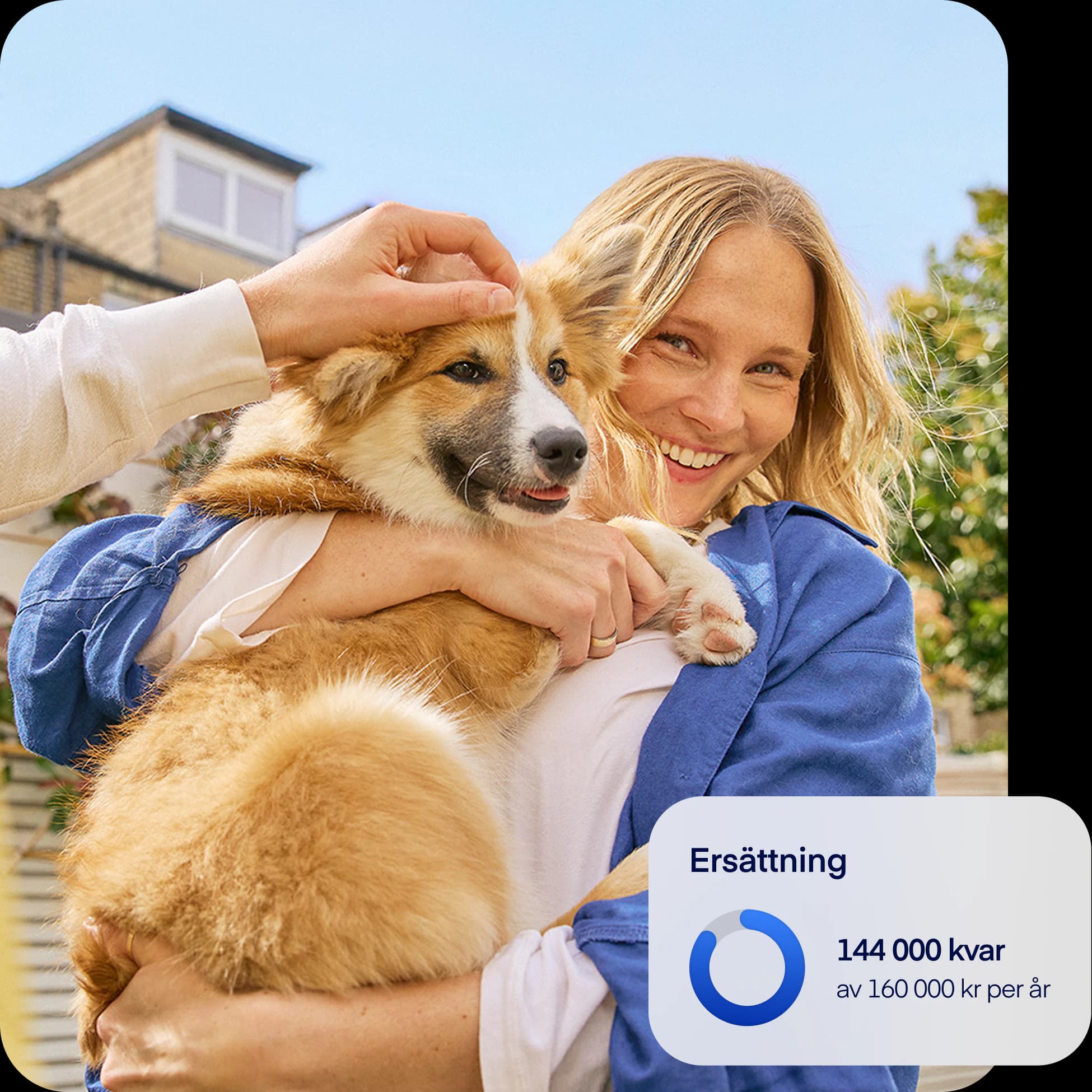 SE-NEW-photo-coverage-overlay-dog-se