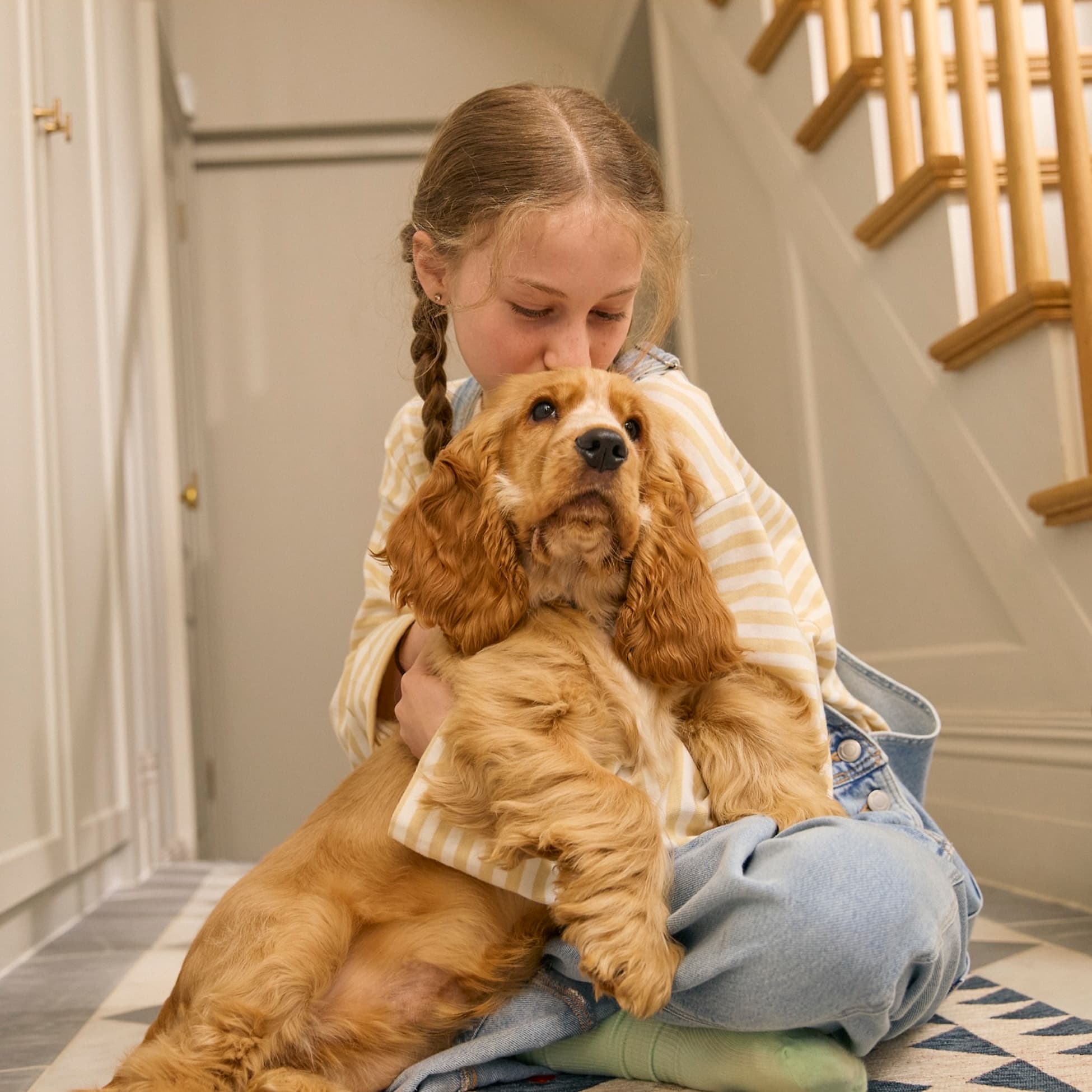 Lassie NEW IMAGES - S10 1755