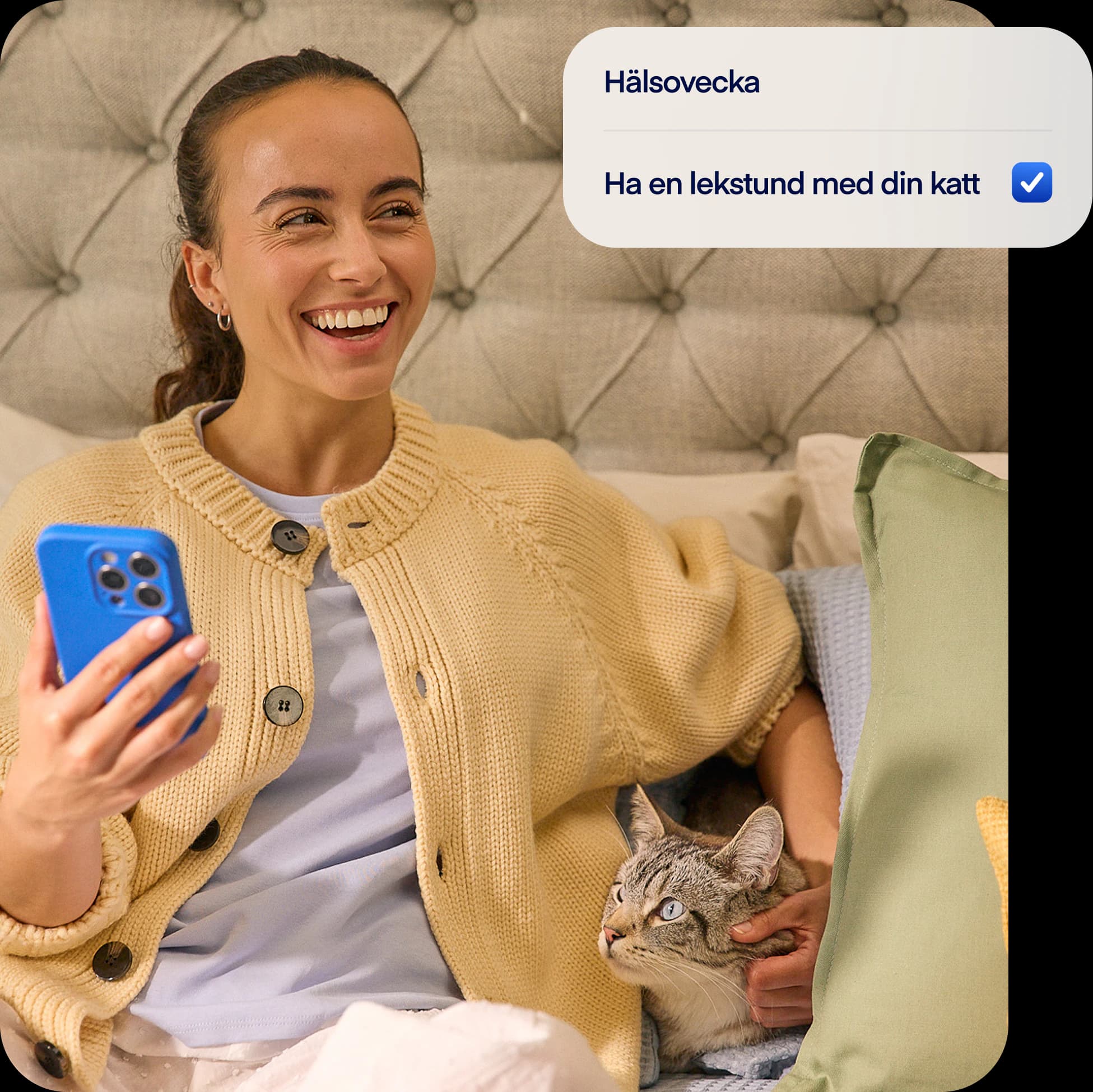 SE-NEW-photo-tasksoverlay-cat