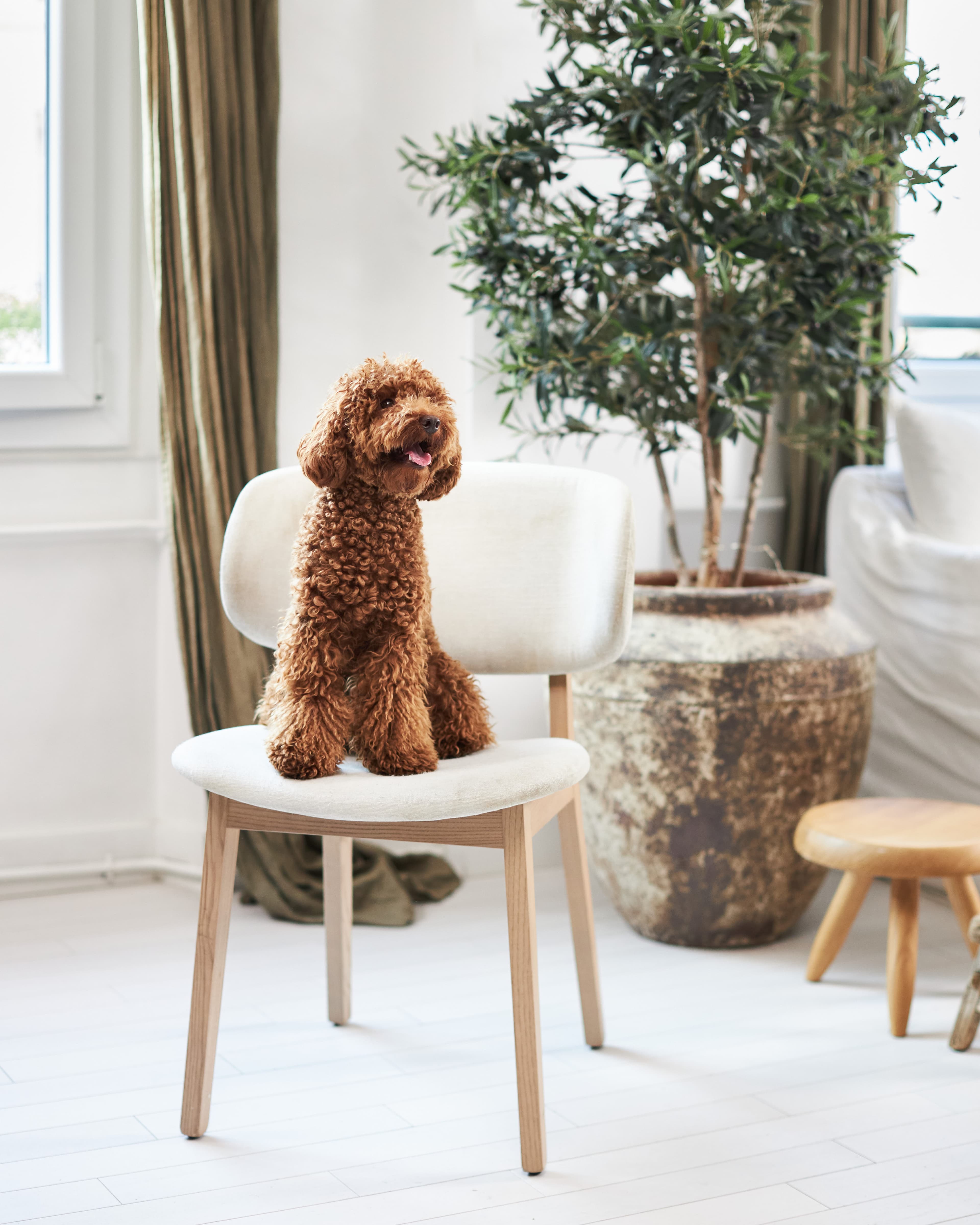 Skärmavbild 2024-11-05 kl. 14.56.52